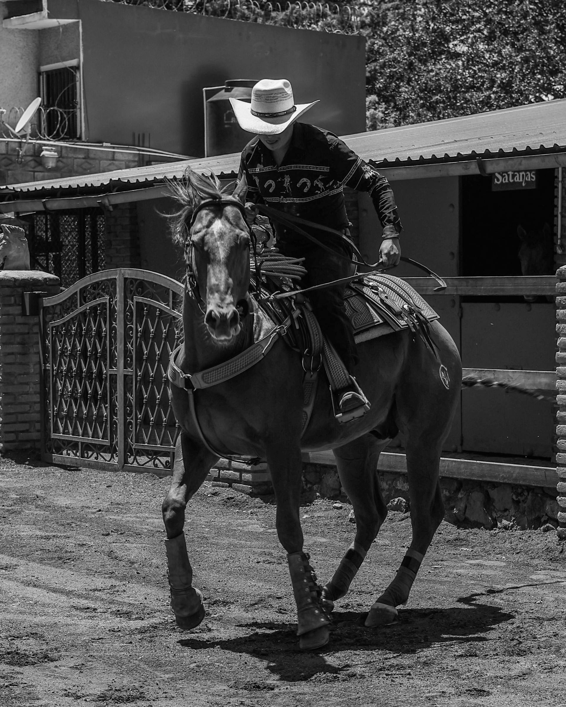 Equine Science