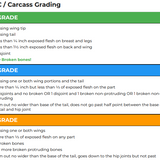 Poultry CDE Cheat Sheet - Competition Quick Reference Guide