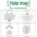 Flower identification coloring sheet for floral design class
