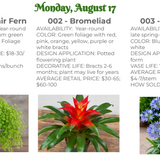 Floral design flower of the day notes sheet with plant identification details