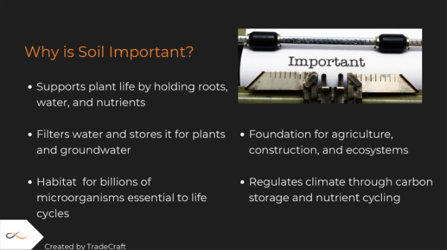 Dirt Dessert: A Soil Profile You Can Eat!