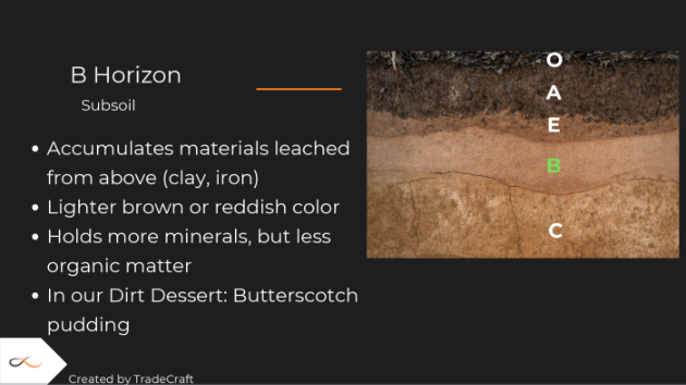 Dirt Dessert: A Soil Profile You Can Eat!