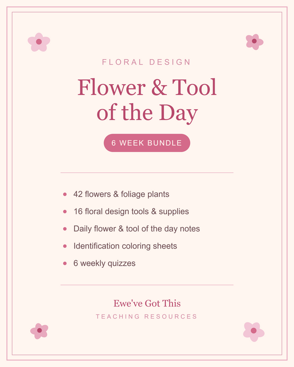 Floral Design Flower & Tool of the Day – 6 Week Bundle | Daily Notes, ID Coloring Sheets & Quizzes