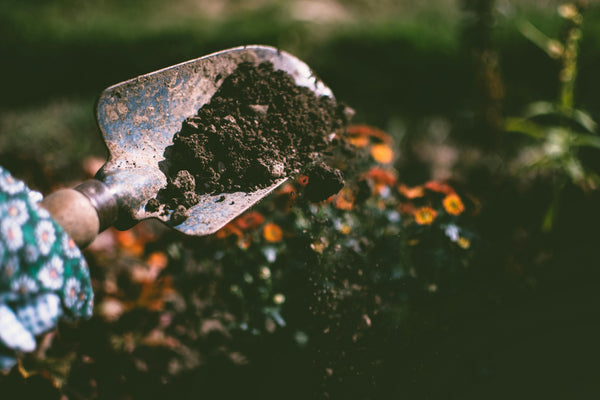 Dirt Dessert: A Soil Profile You Can Eat!